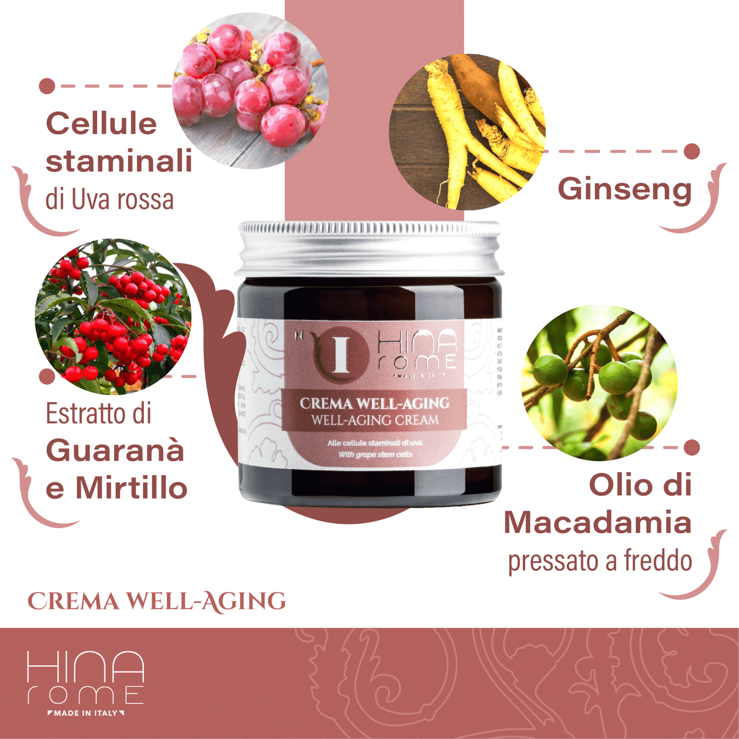 Crema Viso Antirughe con Cellule Staminali di Uva Rossa | Prodotto a Roma | 60 ml